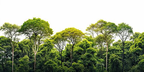 Green oasis: wall decoration print summer forest