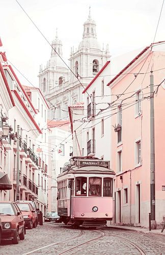 Pink Tram