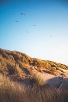 Oostkapelle dunes