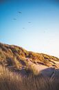 Dunes d'Oostkapelle par Andy Troy Aperçu