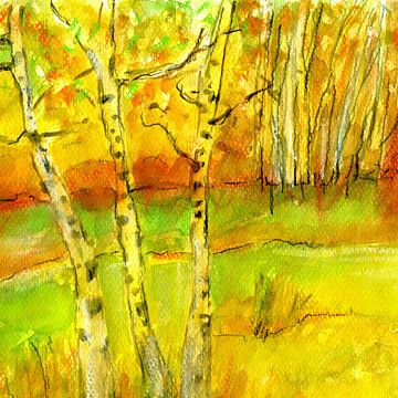 Birken in der Sonne - De bomen van de berk in de zon von Claudia Gründler