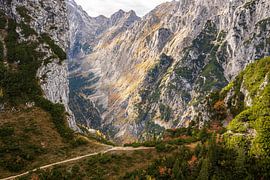 Bergwereld Garmisch-Partenkirchen van Tim Lee Williams