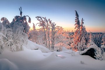 Morning winter atmosphere by Steffen Henze