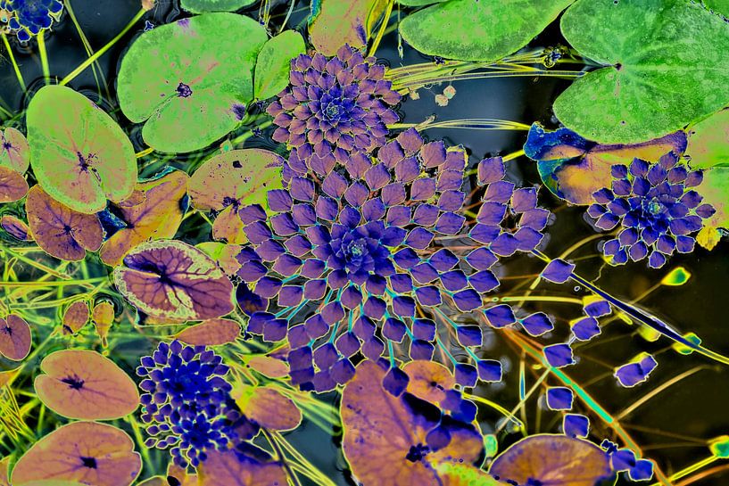 Work in neon colours of leaves in art deco style floating in a pond by Birgitte Bergman
