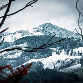 Sfeervol, besneeuwd Zwarte Woud bij Oberried van Andreas Nägeli