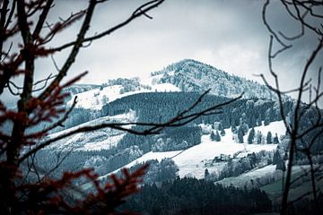 Stimmungsvoller, schneebedeckter Schwarzwald bei Oberried von Andreas Nägeli