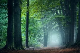 Summer Mist by Kees van Dongen