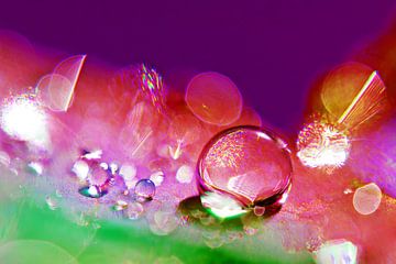 Color Drop Art van Jessica Berendsen