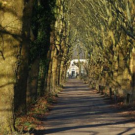 Haanwijk, landgoed van Hans Janssen