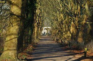 Haanwijk, landgoed