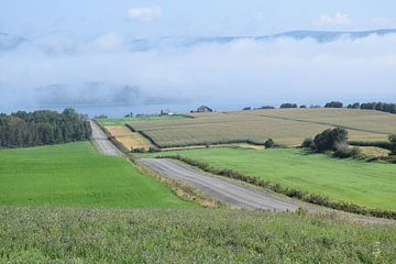 A mist on a summer morning by Claude Laprise