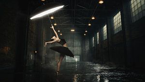 Ballerina auf Spitzen - Ein filmisches Porträt