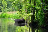 Kahn im Spreewald 3.0 von Ingo Laue Miniaturansicht