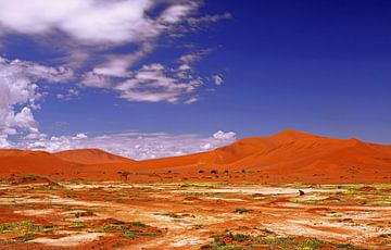 Merveilleux désert du Namib, Namibie sur W. Woyke