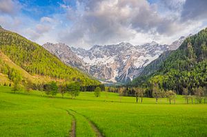 Blick auf die Landschaft des Zgornje Jezersko-Tals während des Frühlings