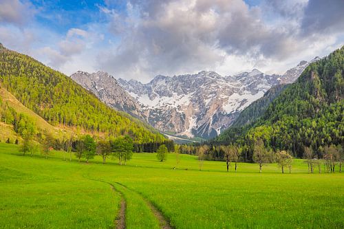 Vue du paysage de la vallée de Zgornje Jezersko au printemps