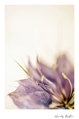 Flower Wisdom