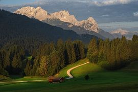Bavaria sur Patrick Noack