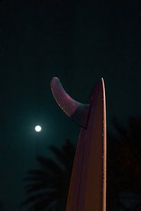 EL PALMAR