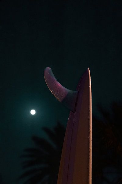EL PALMAR par Melchior | Lifestyle Art Photography