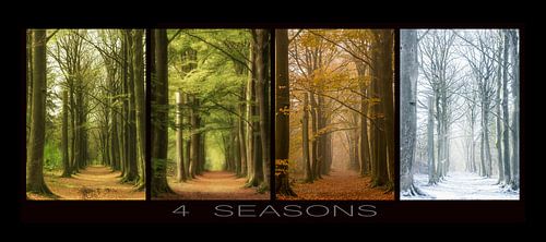 De vier jaargetijden.