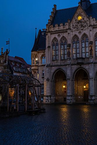 Fish market in Erfurt with historic city hall