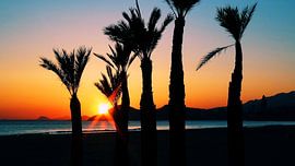Ondergaande zon strand Benidorm (breedbeeld) von Albert van Dijk