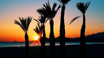 Ondergaande zon strand Benidorm (breedbeeld)