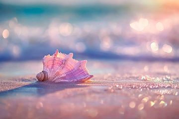 Sanfte Wellen und Muschel am Strand von Poster Art Shop