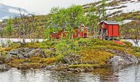 Die rote  Hütte im See - Norwegen von Gisela Scheffbuch Miniaturansicht