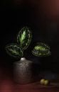 De natuur als kunstenaar . stilleven met van Saskia Dingemans Awarded Photographer thumbnail
