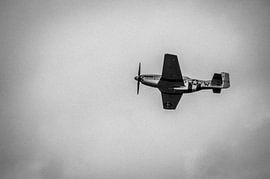 Aircraft P51 Mustang by Michel Koenes