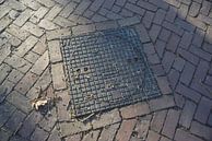 Manhole cover in raking light par John Van der Kaap Aperçu