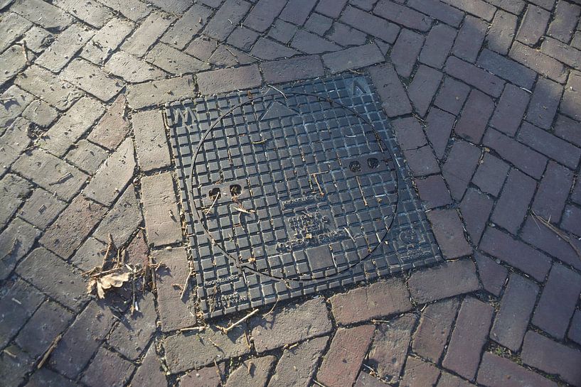 Manhole cover in raking light par John Van der Kaap