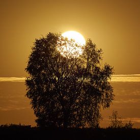 Posbank Zonsondergang van Peter Zeedijk