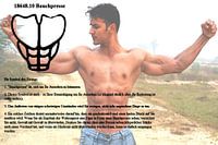 Bauchpresse 18648.10