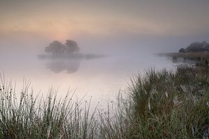 Strabrechtse Heide 223