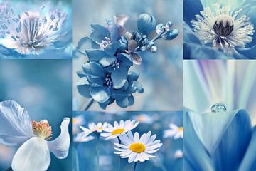 Blumen in Blau von Violetta Honkisz