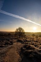 Zonsopkomst