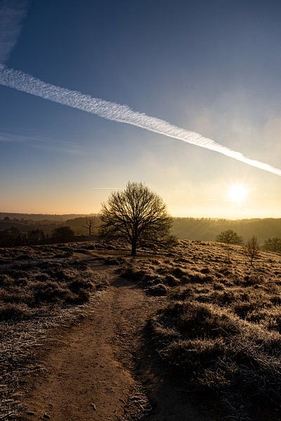 Sunrise by Koos de Vries