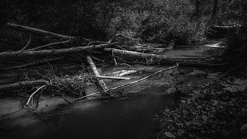 Ein Blick auf die erstaunliche und idyllische norwegische Landschaft. Herbstbild mit Bergen und Flüssen.