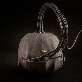 Kürbisse Nr. 14 von The Learning Curve Photography