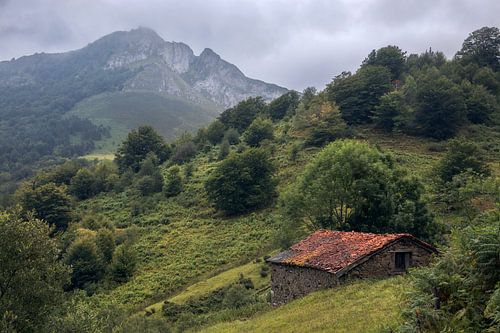Prachtig landschap in Picos de Europa, Asturië, Spanje