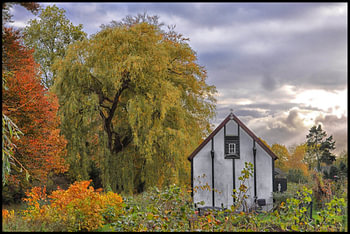tuinhuisje