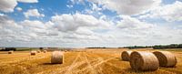 Straw rollers