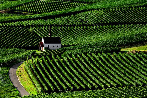 Kapel in de wijngaard