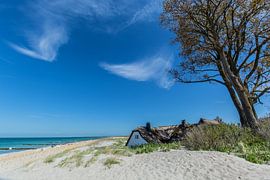 Plage à Ahrenshoop, Fischland-Darß