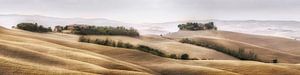 Stimmungsvolle Landschaft der Toskana in Italien von Voss Fine Art Fotografie