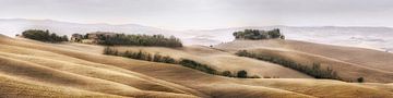 Stimmungsvolle Landschaft der Toskana in Italien