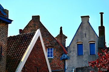 Zutphen roofs by Frank Mossink